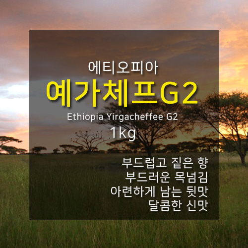 제로커피 1kg 에티오피아 예가체프G2